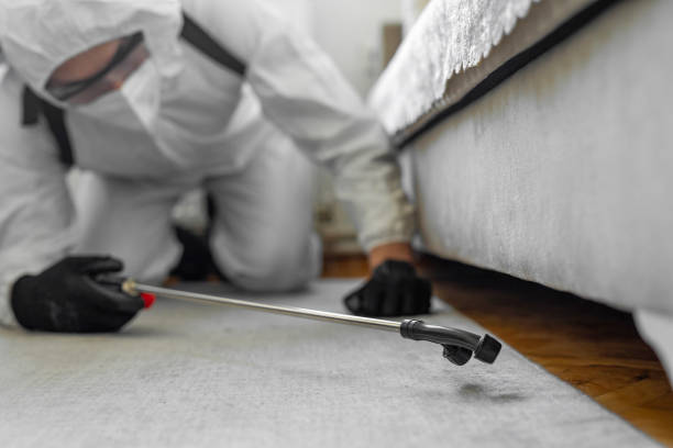 Professional Bed Bug Control technician working in Woodsville, NH