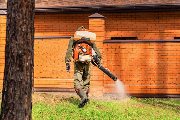 Trusted Emergency Pest Control service in Woodsville, NH - Nex Pest Control
